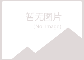 陆川县字迹设计有限公司